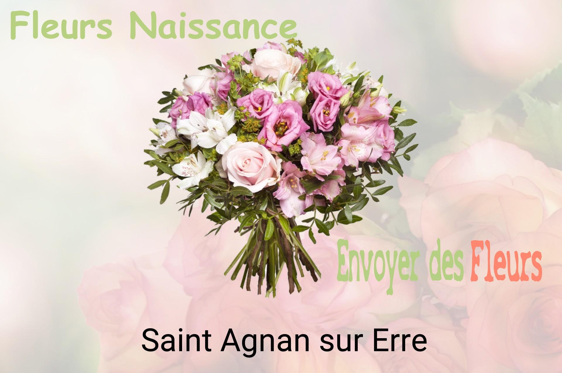 Bouquet de fleurs de naissance livré à Saint-Agnan-sur-Erre